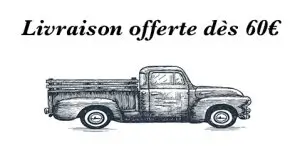 ACCUEIL 14 Logo livraison offerte